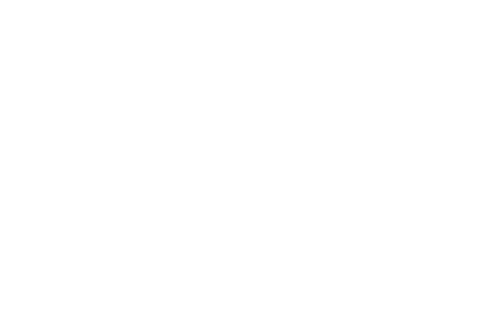 flores_belas